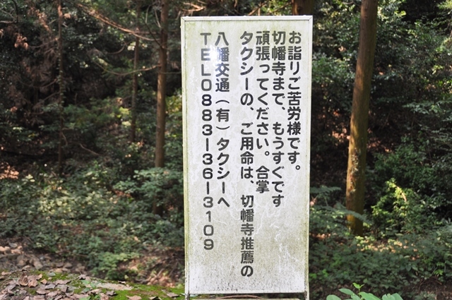 10番切幡寺 (36).JPG