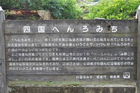 11番藤井寺 (3).JPG